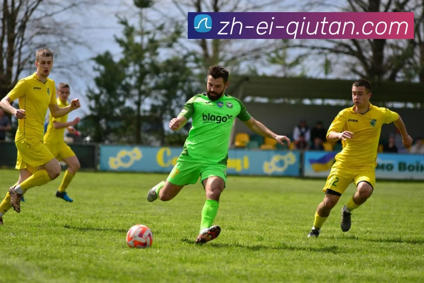 球探体育服务体系